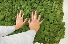 43 Living Moss Products