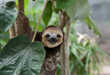 Promoting Conservation Photography