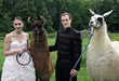 58 Wacky Wedding Ideas