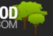 Buying Hickory Hardwood Flooring