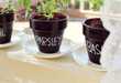 15 Practical DIY Planters