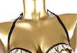 Voyeuristic Lingerie