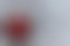 Viral Hoaxes as Art