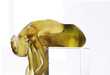 Soft Forms from Crystal