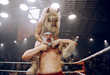 Incredibly Strange Wrestling