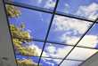 Virtual Skylights