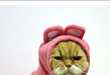 Fed Up Felines