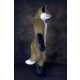 Fancy Dress Costumes 10