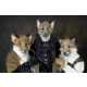 Fancy Dress Costumes 2