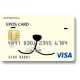 Epos International  and Visa 5