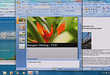 Windows 7