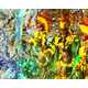 Astonishing Carnival Coverage Captures the Spirit of Brazil 2