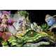 Astonishing Carnival Coverage Captures the Spirit of Brazil 6