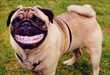 Being Happy -  Tips about how to keep yourself happy Part 1