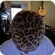 Look Hot In Leopard Spots 5