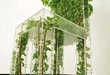 20 Small Space Gardennovations