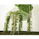 From Political Micro Gardens to Sprouting Seats 1