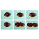 Delicious Artwork - Kevin Van Aelst Creates Pieces Too Good to Eat (GALLERY) 6