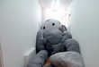Supersized Stuffed Animals