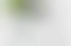 Pet Water Purifiers