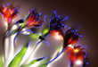 Horticultural Electricitography