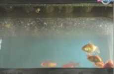 Japanese Restaurant with Goldfish Swimming in the Deep-Fryer