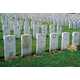 Selling Graves - Desperate Relatives Dig Deeper, Sell Plots to Pay the Bills (GALLERY) 2