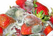 Fruit Therapy