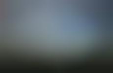 Nature-Inspired Songwriting