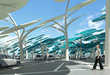 Solar Powered Trees