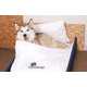 The Best Western Named Most Pet Friendly Hotel Chain 1