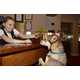 The Best Western Named Most Pet Friendly Hotel Chain 2
