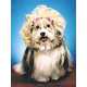 The Best Western Named Most Pet Friendly Hotel Chain 5