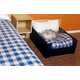 The Best Western Named Most Pet Friendly Hotel Chain 9