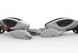 Walrus-Like Concept Cars