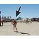 From Motorized Stunt Kites to Kitewings 1