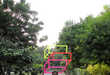 Illusionary Neon Art