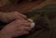 Surprised Kitty Takes Teh Interwebz by Storm
