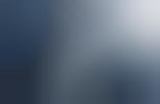 Blue-Hued Shoots