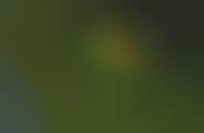 Birds-Eye Viewscaping