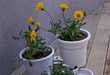 Break-Away Flower Pots