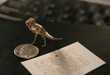 Miniature Dinosaur Models