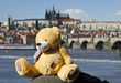 Pampered Plushy Vacations