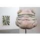 From Epidermal Sculptures to Transparent Memory Sticks 1