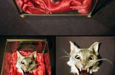 Taxidermy Gone Wrong