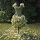 The Garments of Nicole Dextras are Enchanting 9