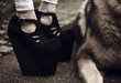 Top 50 Fashion Trends in April 2010