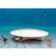 Underwater Memorials - Designer Jack Hokansons ‘Genesis Biopod’ is Fun for the Fishies (GALLERY) 1