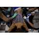 From Charitable Body Modifications to 36-Foot Meerkats 1