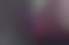 Technicolor Fashion Videos